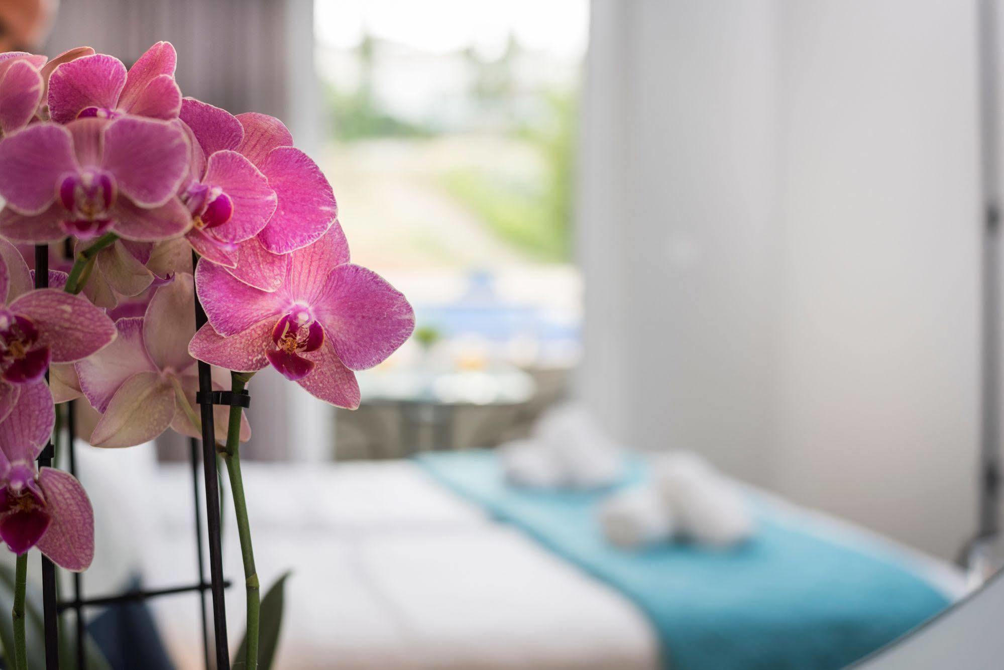 Irini Hotel apartamentowy